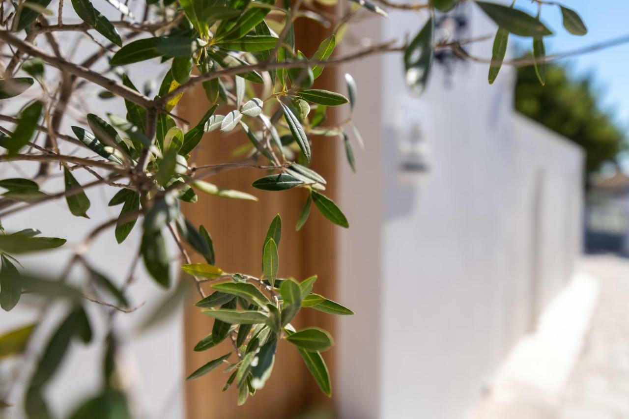 Lindian Ethos Villa Lindos  Luaran gambar